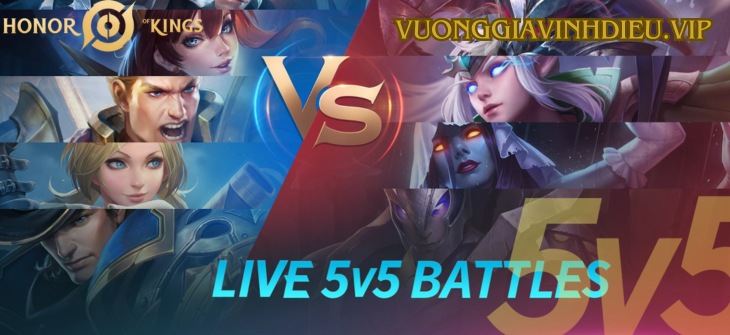 Top 5 cách lên trình VGVD
